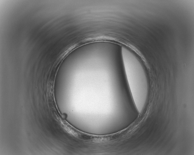 X0000078880793200611131052