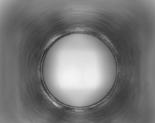 X0000078880794200611131052
