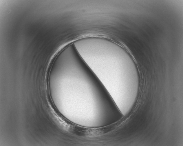 X0000078880795200611131052