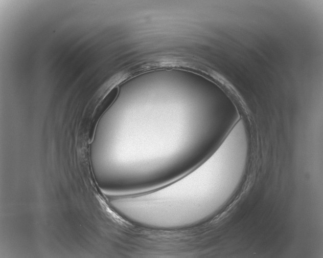 X0000078880801200611131052