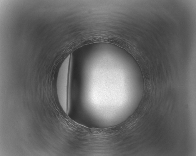 X0000078880818200611131051