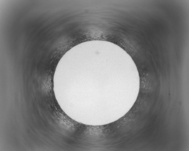 X0000078880820200611131051
