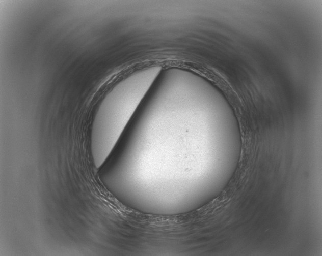 X0000078880823200611131051