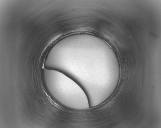 X0000078880827200611131051