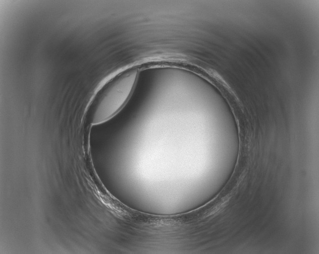 X0000078880830200611131051
