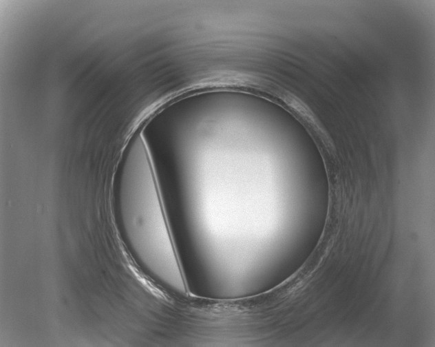 X0000078880842200611131052
