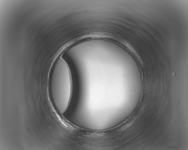 X0000078880845200611131052
