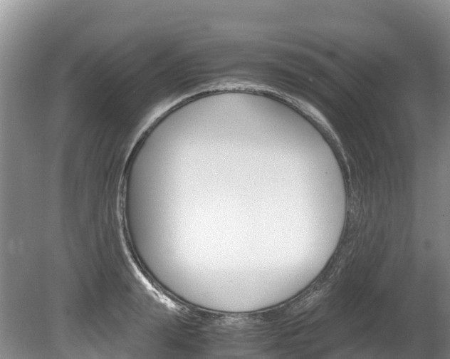 X0000078880847200611131052