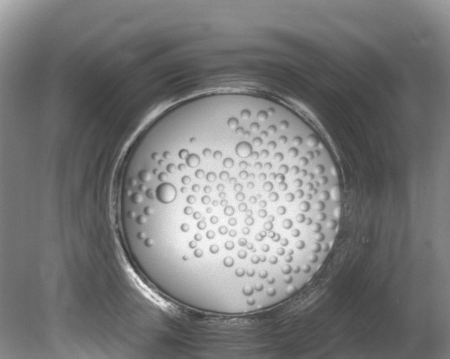 X0000078880851200611131052