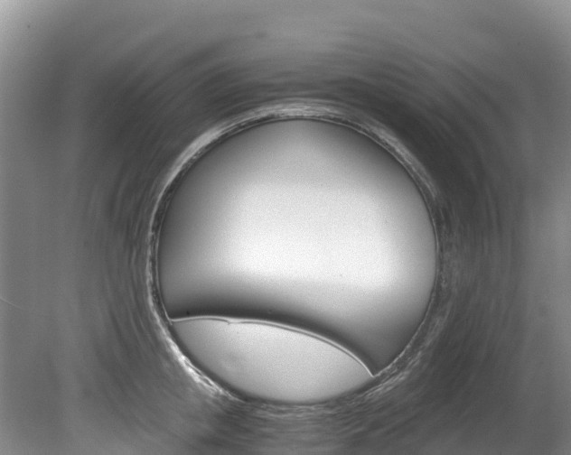 X0000078880853200611131052