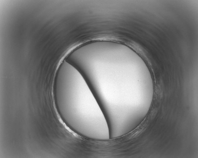X0000078880855200611131052