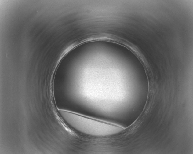 X0000078880858200611131052