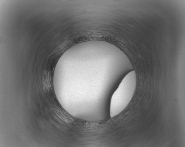X0000078880866200611131051