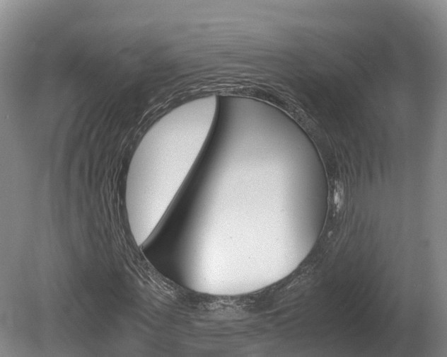X0000078880867200611131051