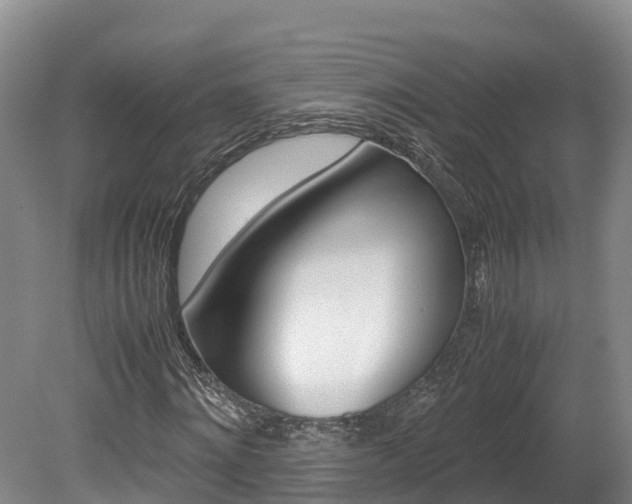 X0000078880868200611131051
