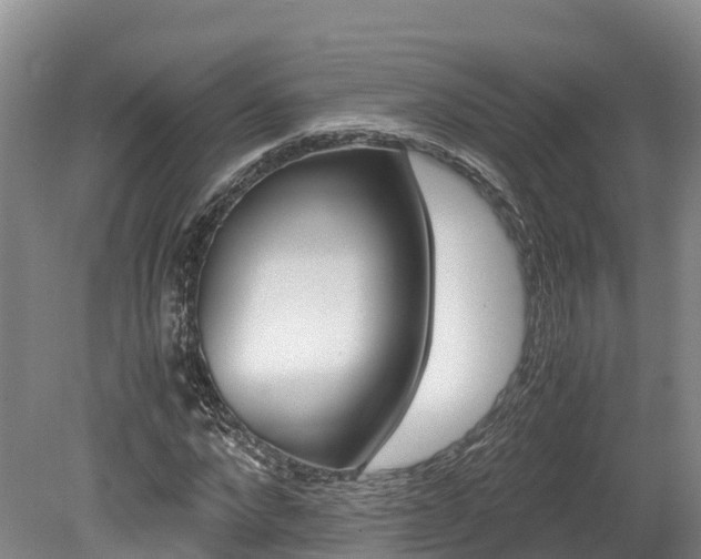 X0000078880872200611131051