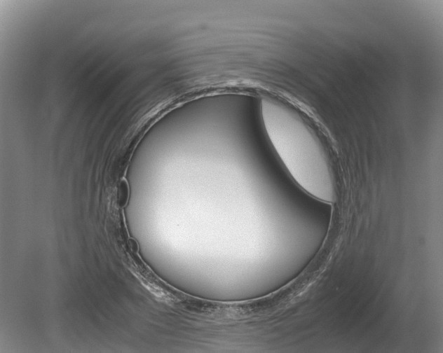 X0000078880881200611131051