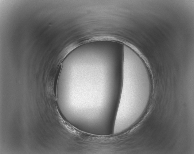 X0000078880905200611131051