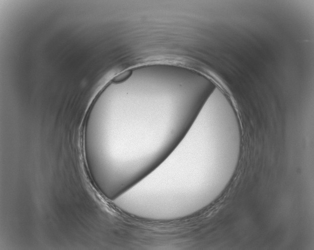 X0000078880907200611131050