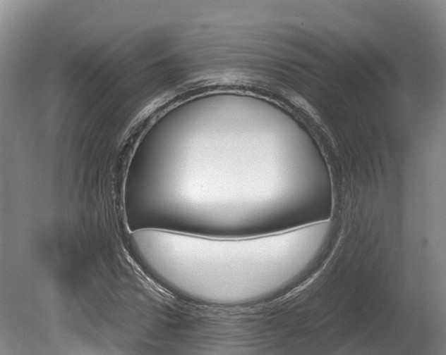 X0000078880922200611131050