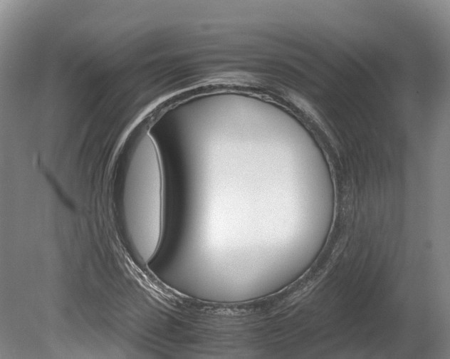 X0000078880923200611131050