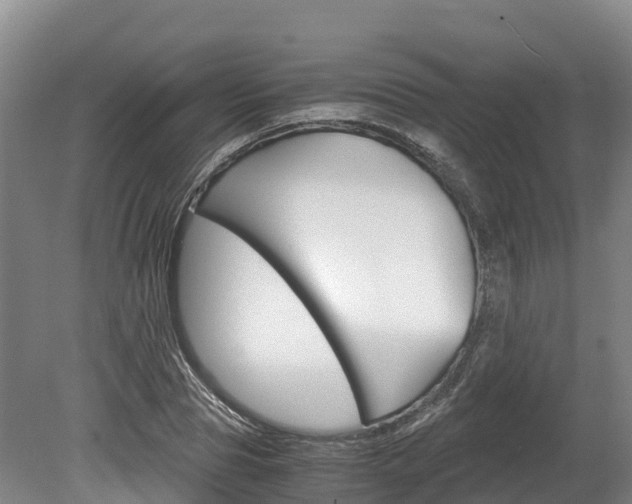 X0000078880929200611131050