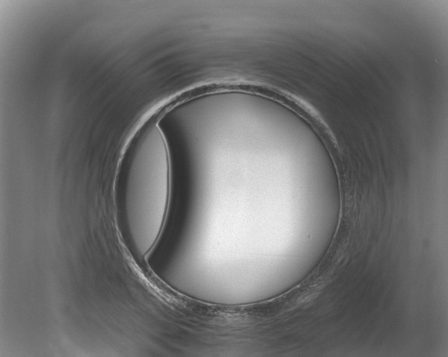 X0000078880935200611131050