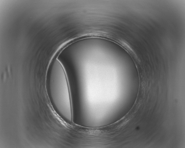 X0000078880940200611131050