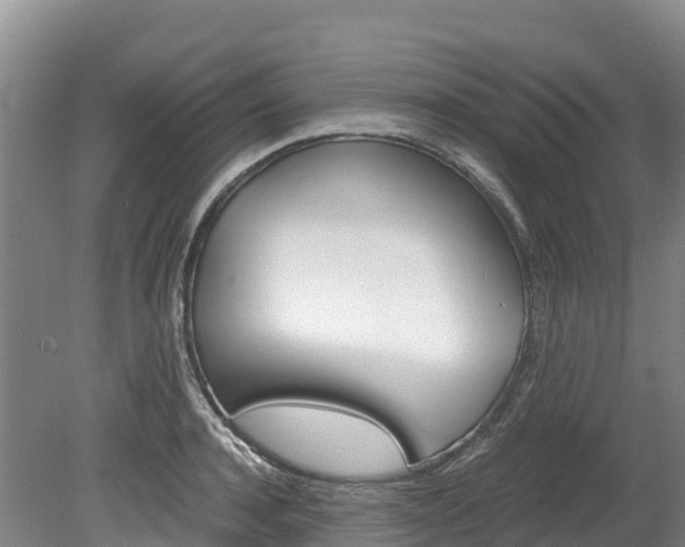 X0000078880944200611131050