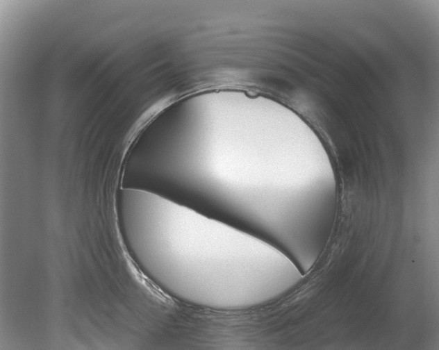 X0000078880954200611131050