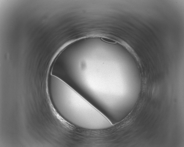 X0000078880955200611131050