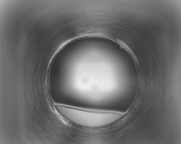 X0000078880956200611131050