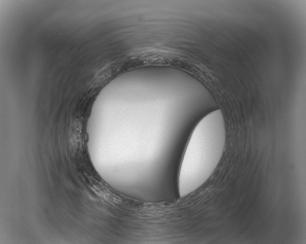 X0000078880964200611131050
