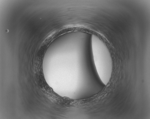 X0000078880967200611131049