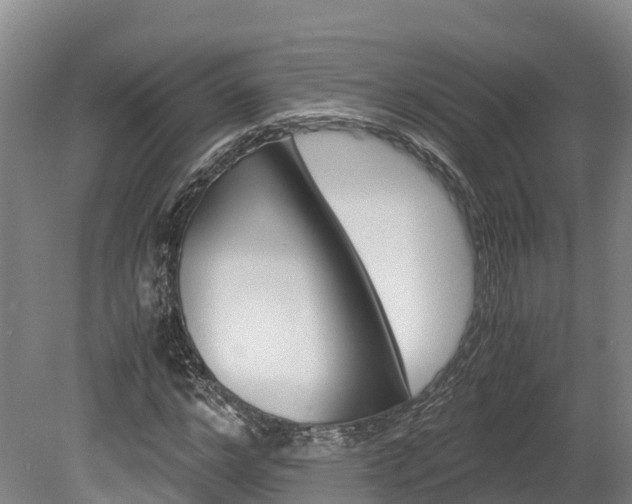 X0000078880968200611131049