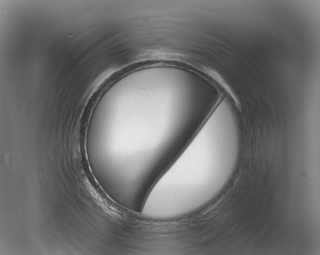 X0000078880972200611131049