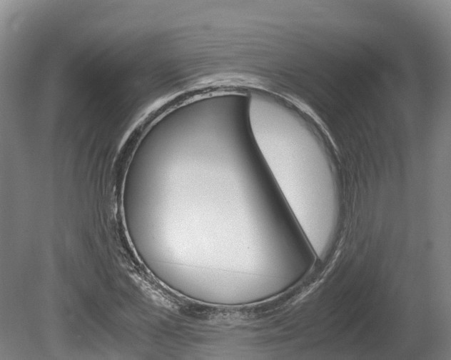 X0000078880973200611131049