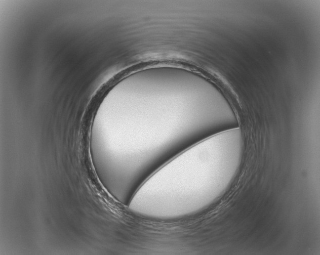 X0000078880975200611131049