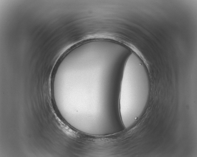 X0000078880988200611131049
