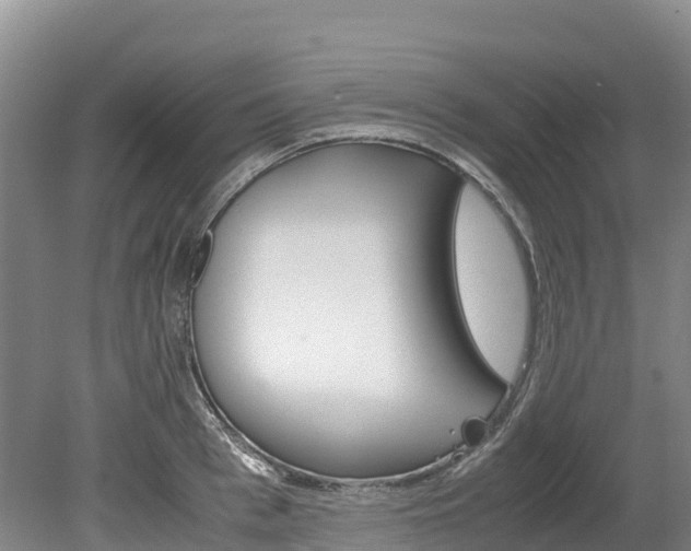 X0000078880993200611131049