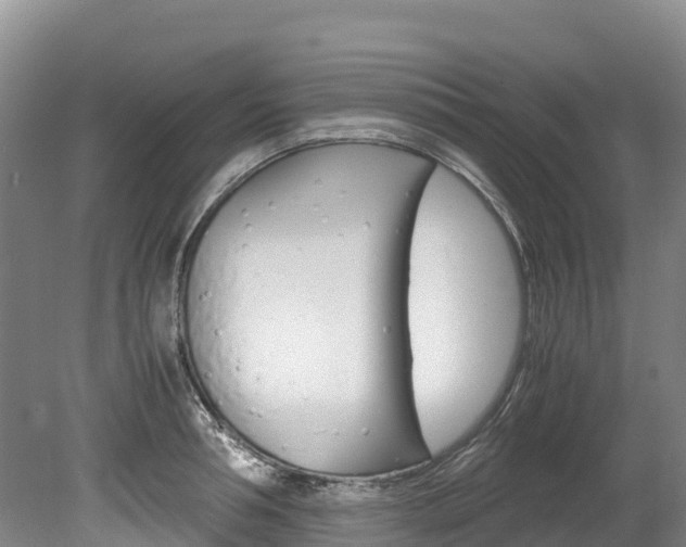 X0000078880994200611131049