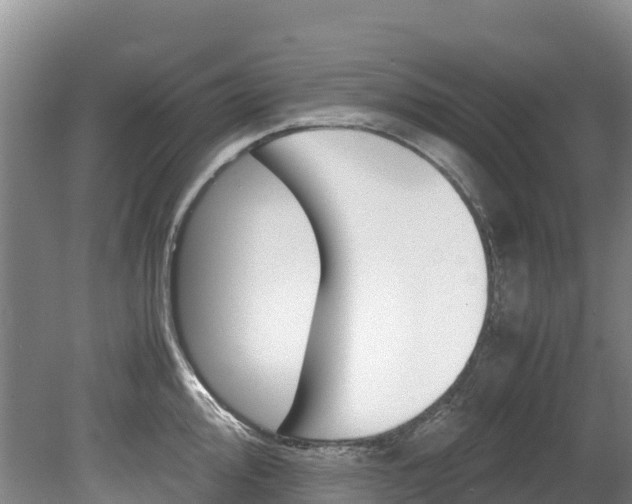 X0000078881000200611131049