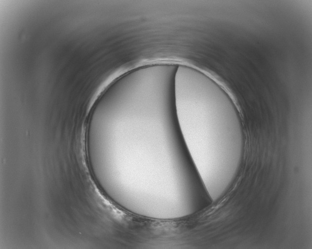 X0000078881006200611131049