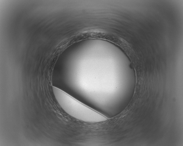 X0000078881014200611131048