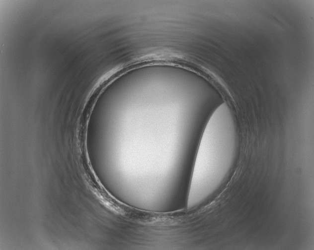 X0000078881026200611131048