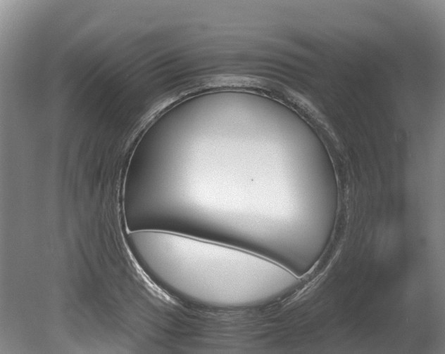 X0000078881033200611131048