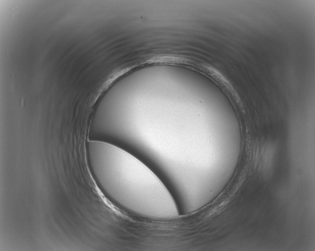 X0000078881041200611131049