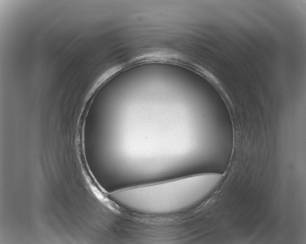X0000078881042200611131049