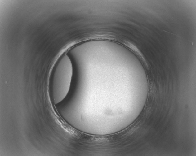 X0000078881043200611131049