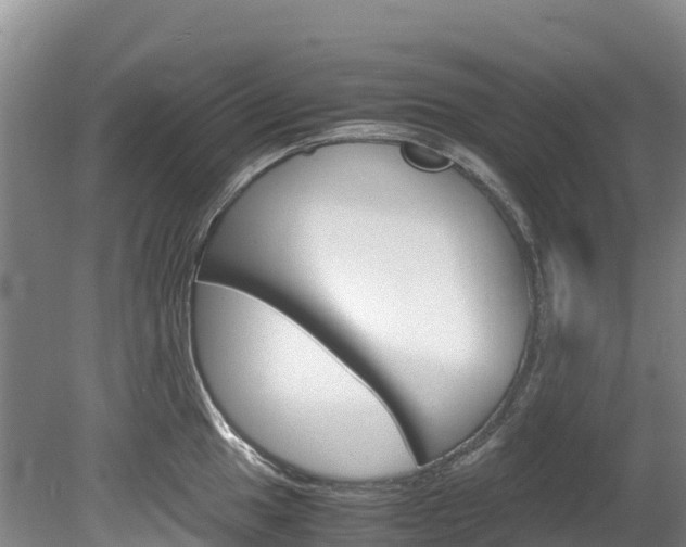 X0000078881049200611131049